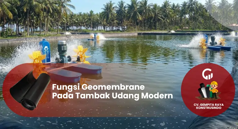 Fungsi Geomembrane Pada Tambak Udang Modern
